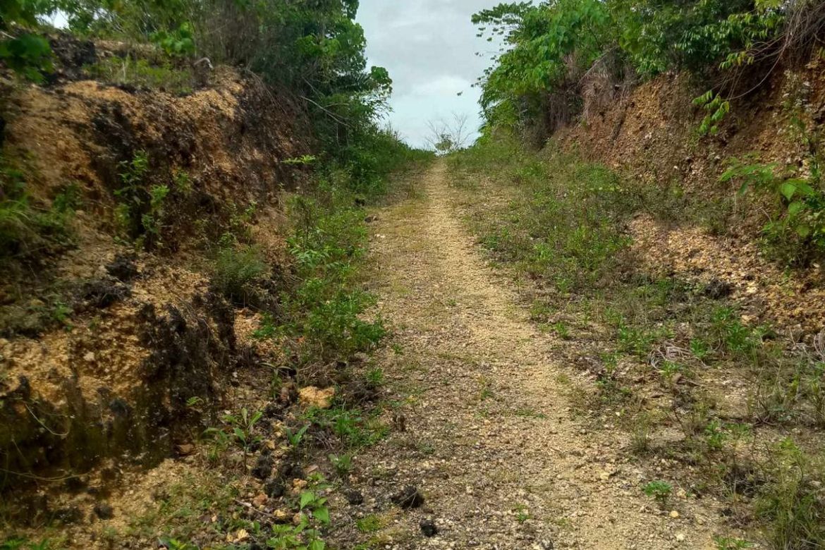 Land for Sale in San Isidro, Tagbilaran, Bohol – photo 7