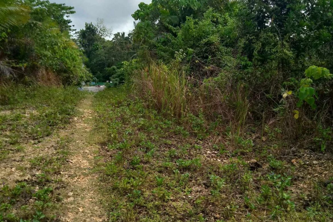 Land for Sale in San Isidro, Tagbilaran, Bohol – photo 8