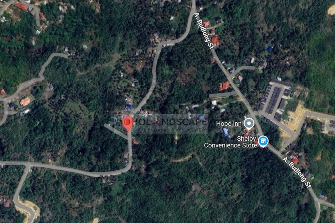 Land for Sale in San Isidro, Tagbilaran, Bohol – photo 7