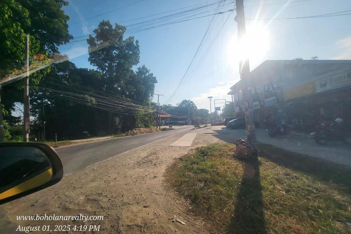 Land for Sale in San Isidro, Tagbilaran, Bohol – photo 4