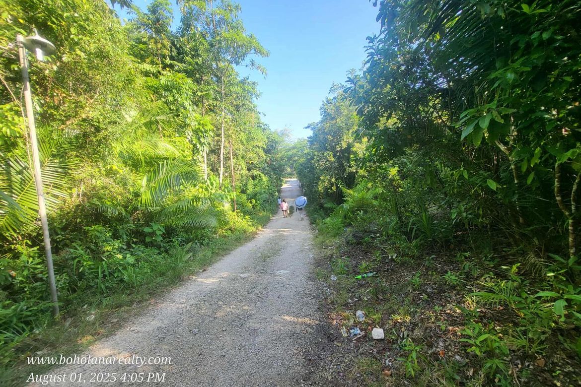 Land for Sale in San Isidro, Tagbilaran, Bohol – photo 5