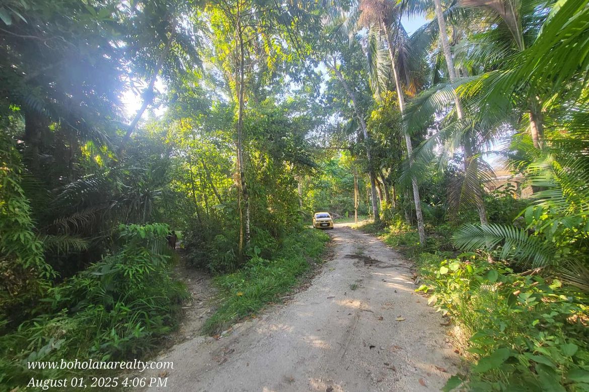 Land for Sale in San Isidro, Tagbilaran, Bohol – photo 3