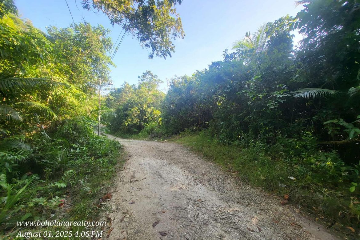 Land for Sale in San Isidro, Tagbilaran, Bohol – photo 7