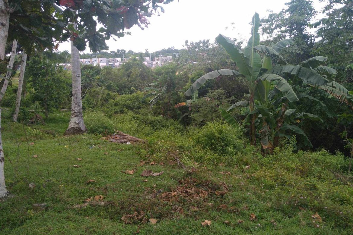 Land for Sale in San Isidro, Tagbilaran, Bohol – photo 3