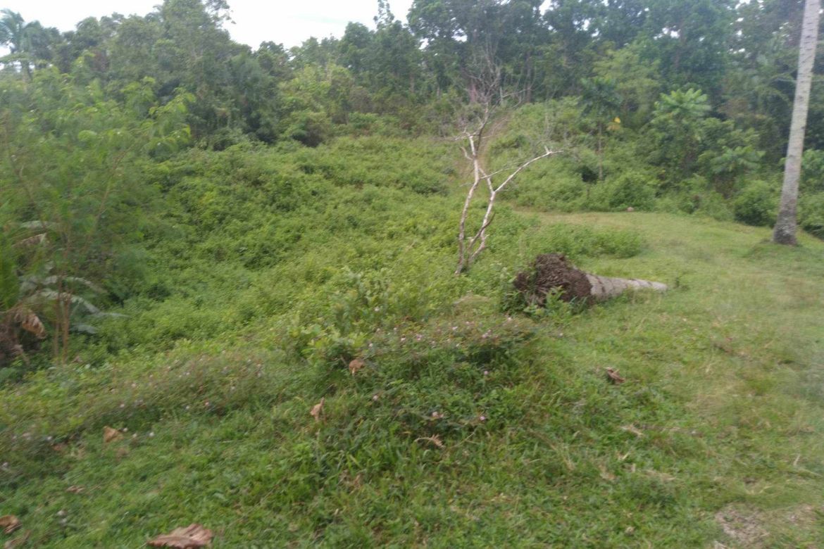 Land for Sale in San Isidro, Tagbilaran, Bohol – photo 4