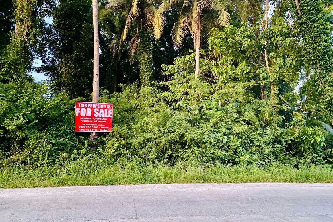 Land for Sale in San Isidro, Tagbilaran, Bohol – photo 5
