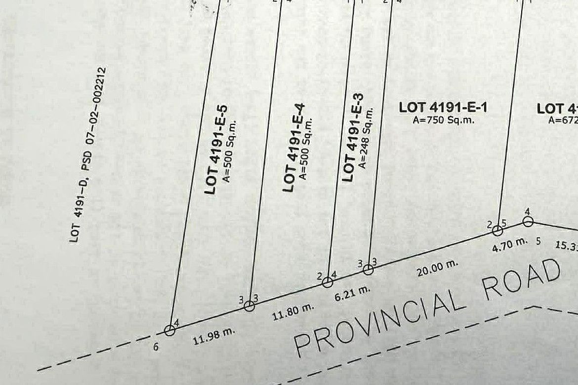 Land for Sale in San Isidro, Tagbilaran, Bohol – photo 4
