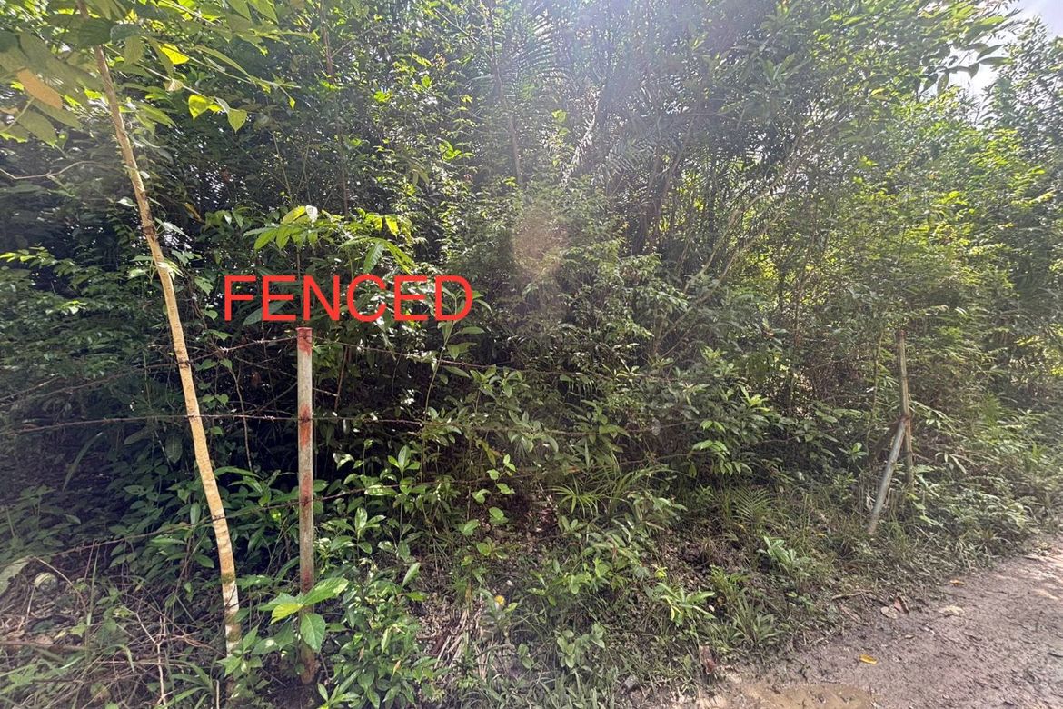 Land for Sale in San Isidro, Tagbilaran, Bohol – photo 2