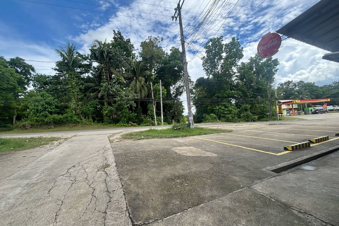Land for Sale in San Isidro, Tagbilaran, Bohol – photo 7