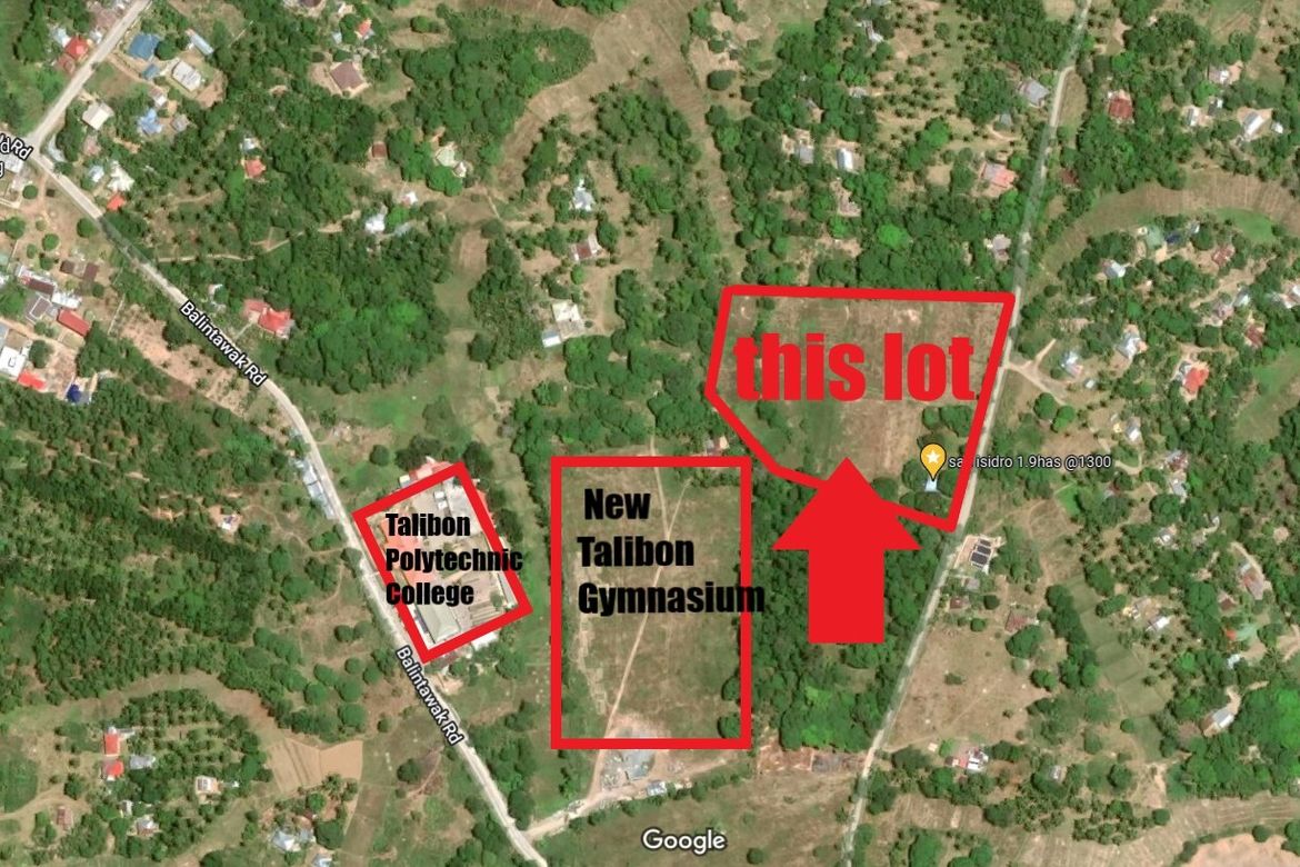 Land for Sale in San Isidro, Talibon, Bohol
