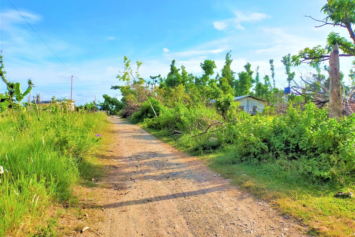 Land for Sale in San Isidro, Talibon, Bohol – photo 8