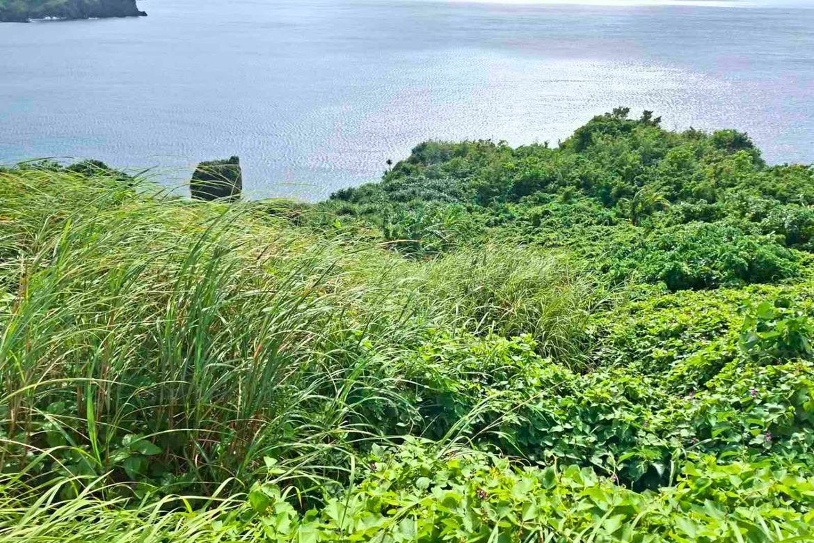 Land for Sale in San Joaquin, Basco, Batanes – photo 5