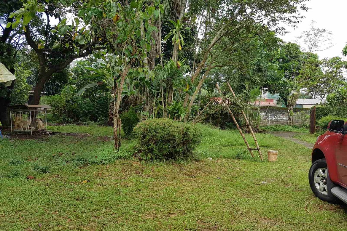Land for Sale in San Jose, Antipolo, Rizal