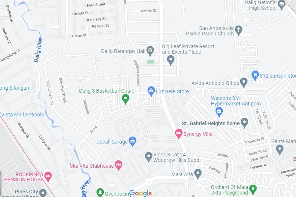 Land for Sale in San Jose, Antipolo, Rizal – photo 3