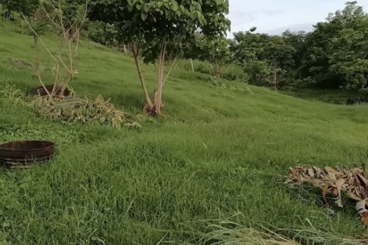 Land for Sale in San Jose, Antipolo, Rizal