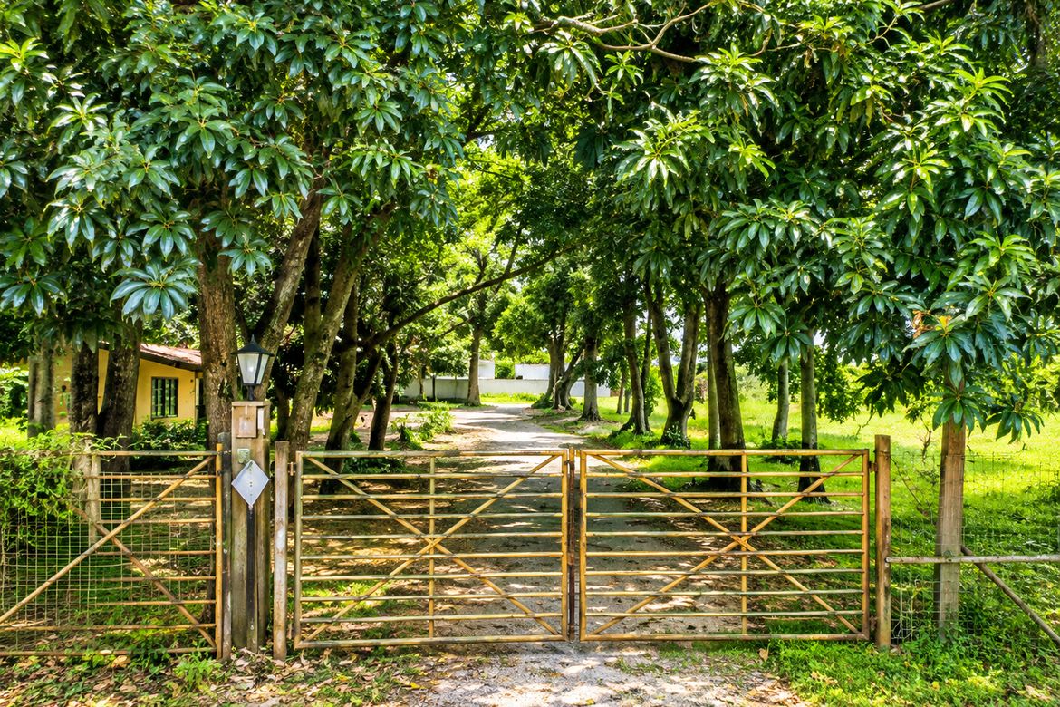 Land for Sale in San Jose, Baras, Rizal – photo 3
