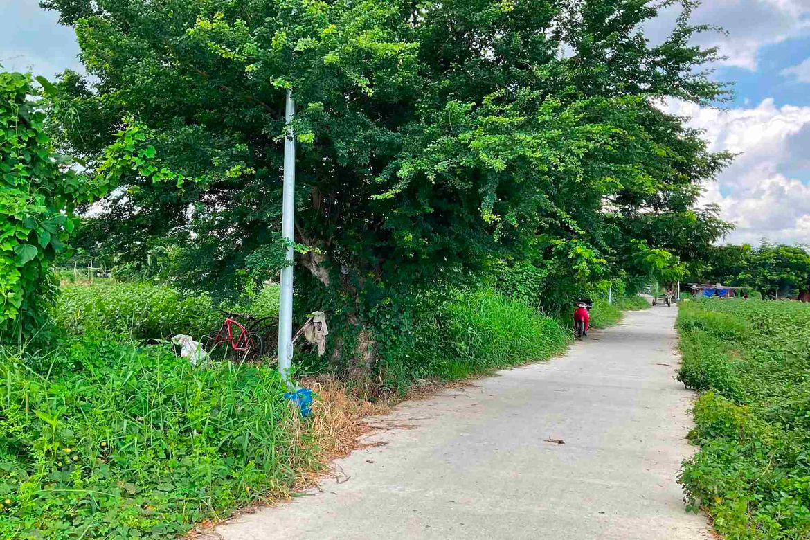 Land for Sale in San Jose, Calamba, Laguna – photo 2