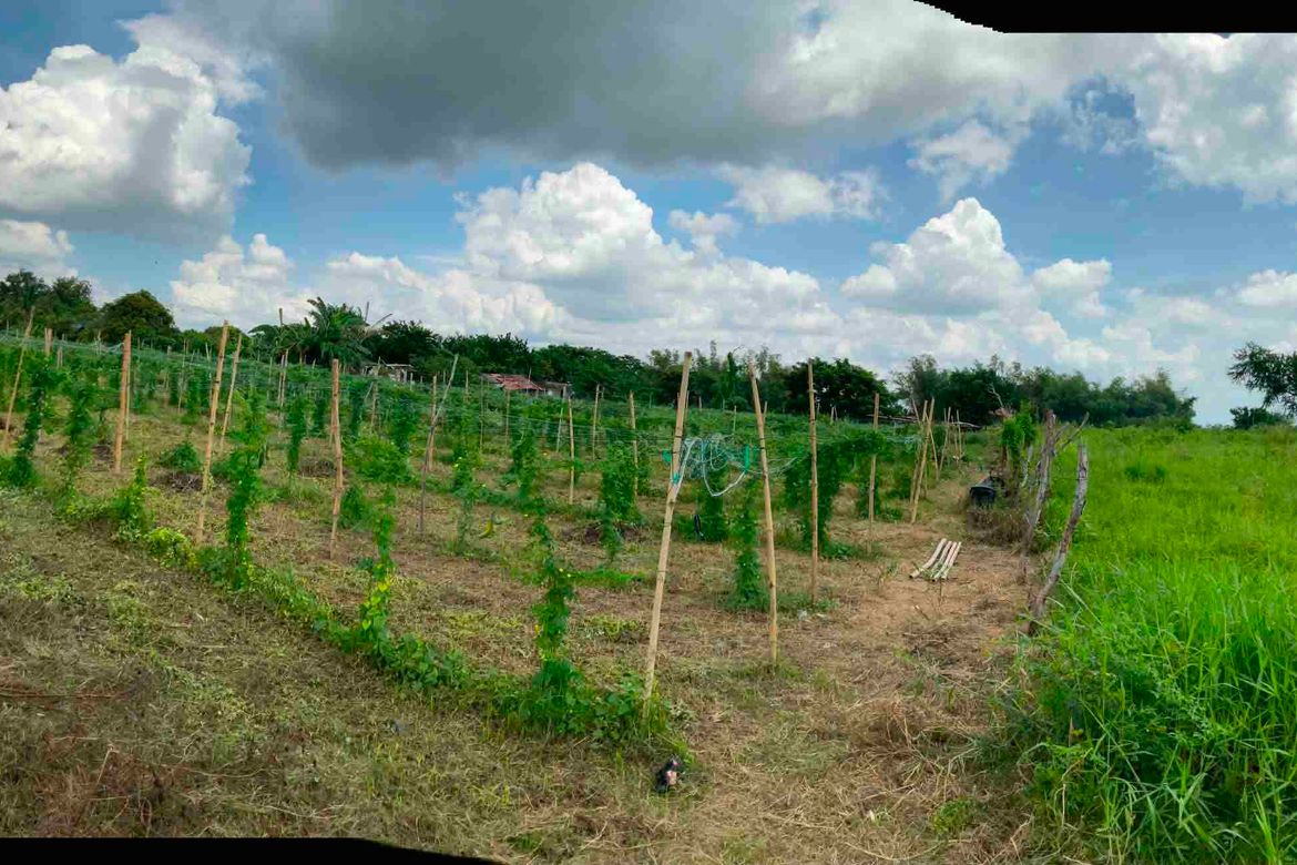Land for Sale in San Jose, Calamba, Laguna – photo 4