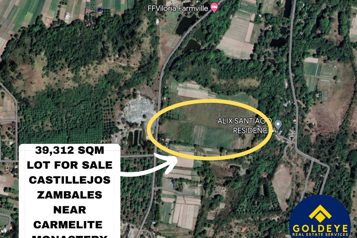 Land for Sale in San Jose, Castillejos, Zambales – photo 3