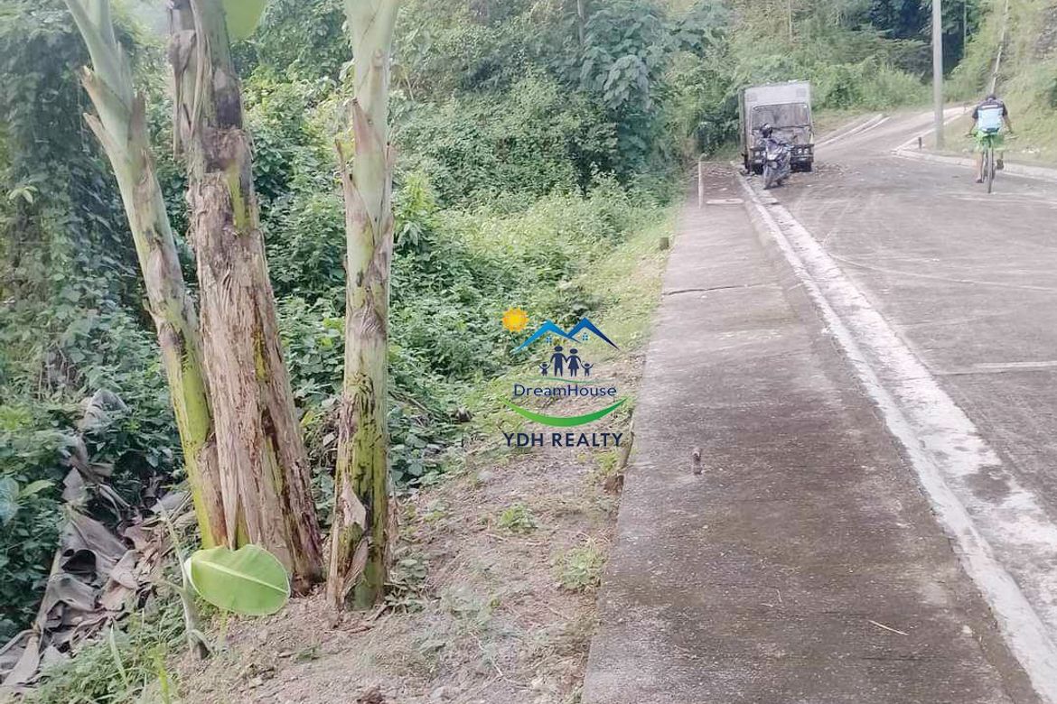 Land for Sale in San Jose, Cebu City, Cebu – photo 2