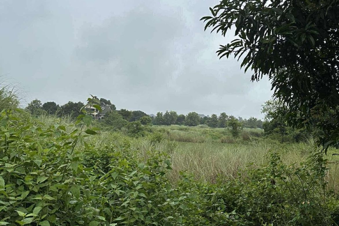 Land for Sale in San Jose, Concepcion, Tarlac – photo 4
