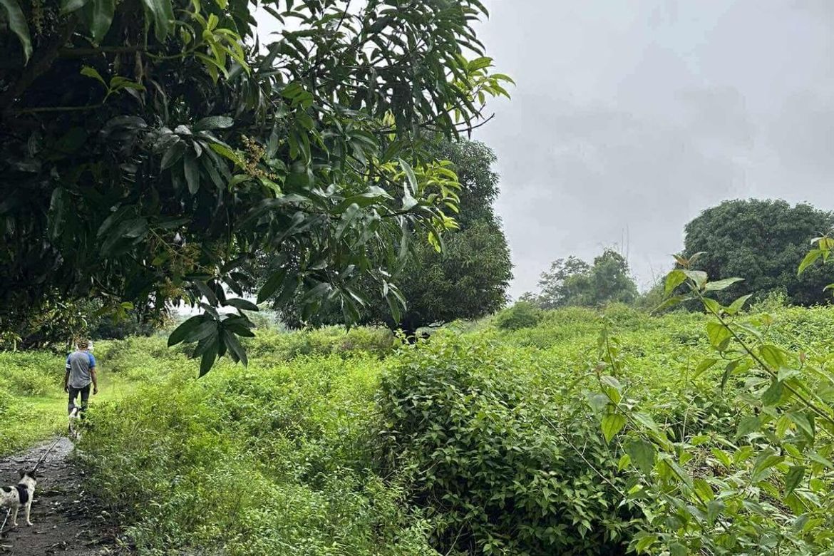 Land for Sale in San Jose, Concepcion, Tarlac – photo 8