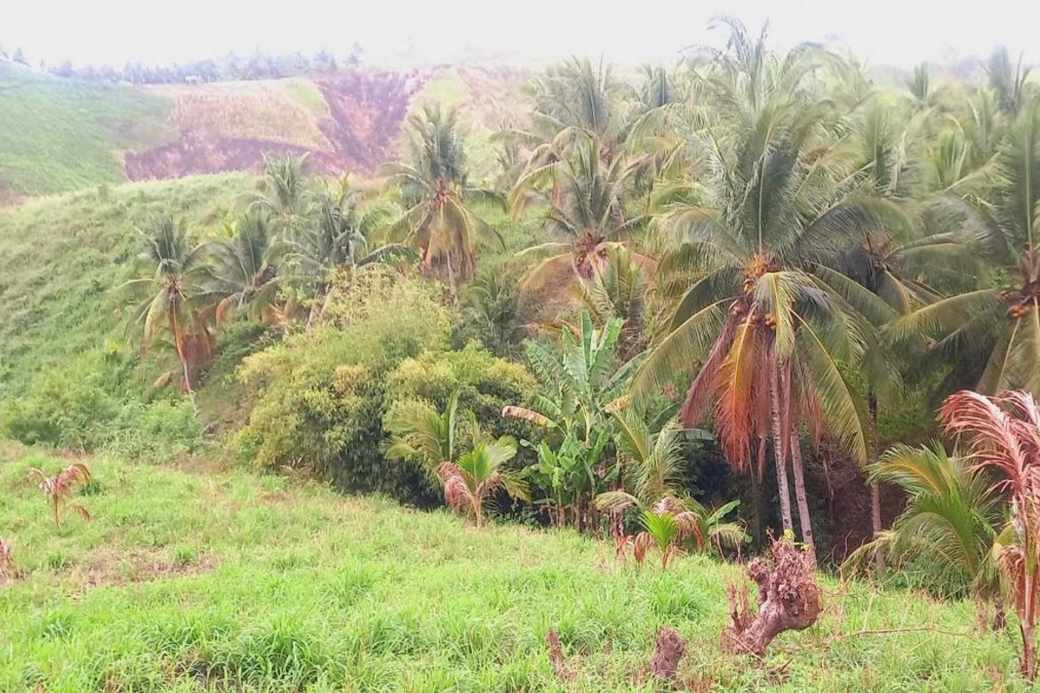 Land for Sale in San Jose, General Santos, South Cotabato – photo 2