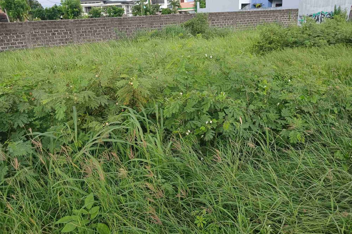 Land for Sale in San Jose, Iloilo City, Iloilo