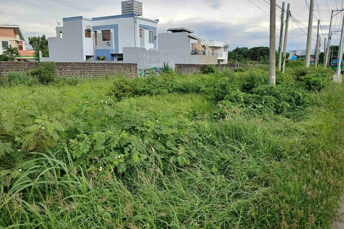 Land for Sale in San Jose, Iloilo City, Iloilo – photo 5