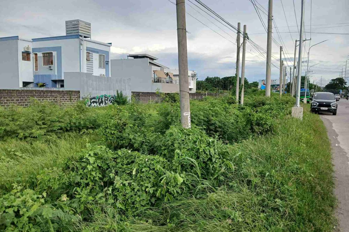 Land for Sale in San Jose, Iloilo City, Iloilo – photo 6