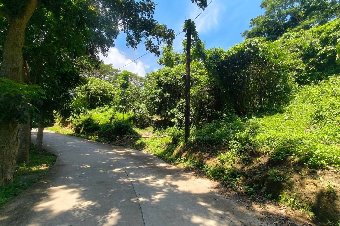 Land for Sale in San Jose, Mabini, Batangas – photo 3