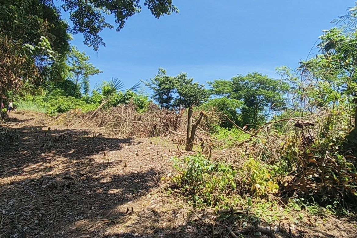 Land for Sale in San Jose, Mabini, Batangas – photo 5