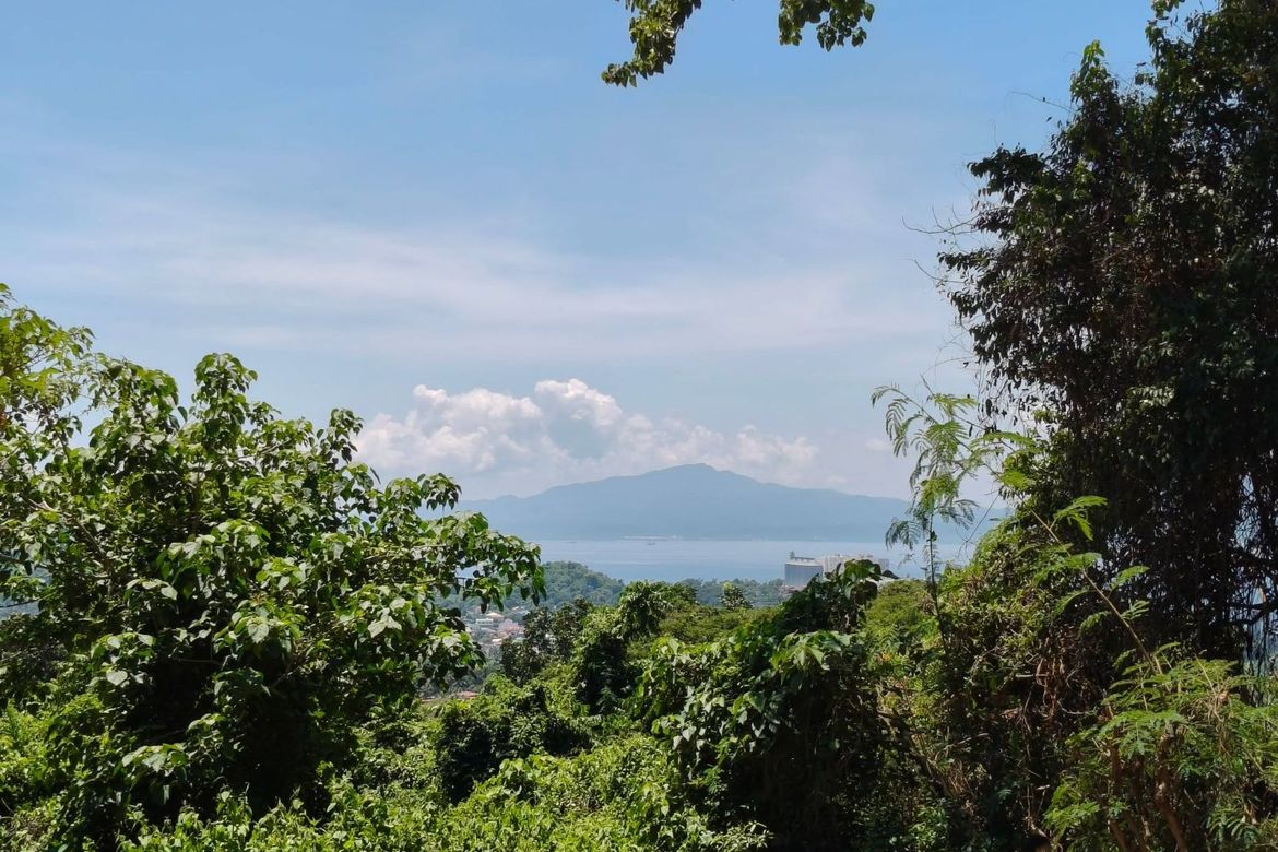 Land for Sale in San Jose, Mabini, Batangas – photo 6