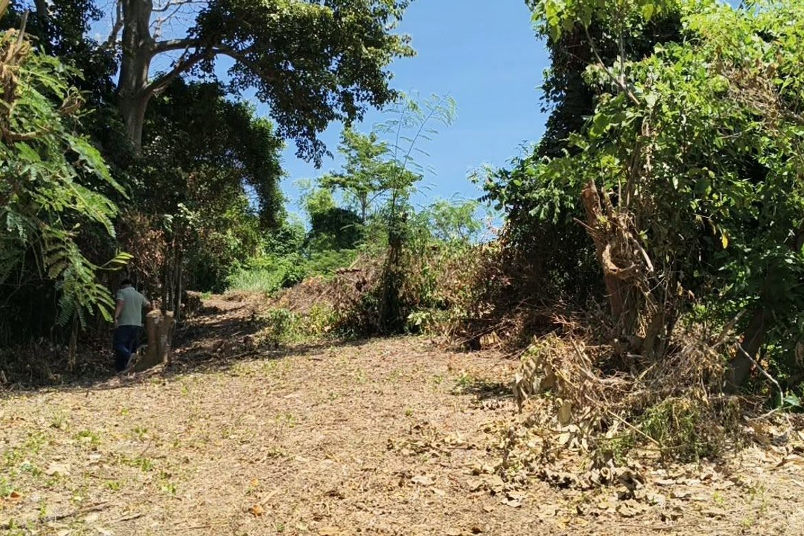 Land for Sale in San Jose, Mabini, Batangas – photo 7