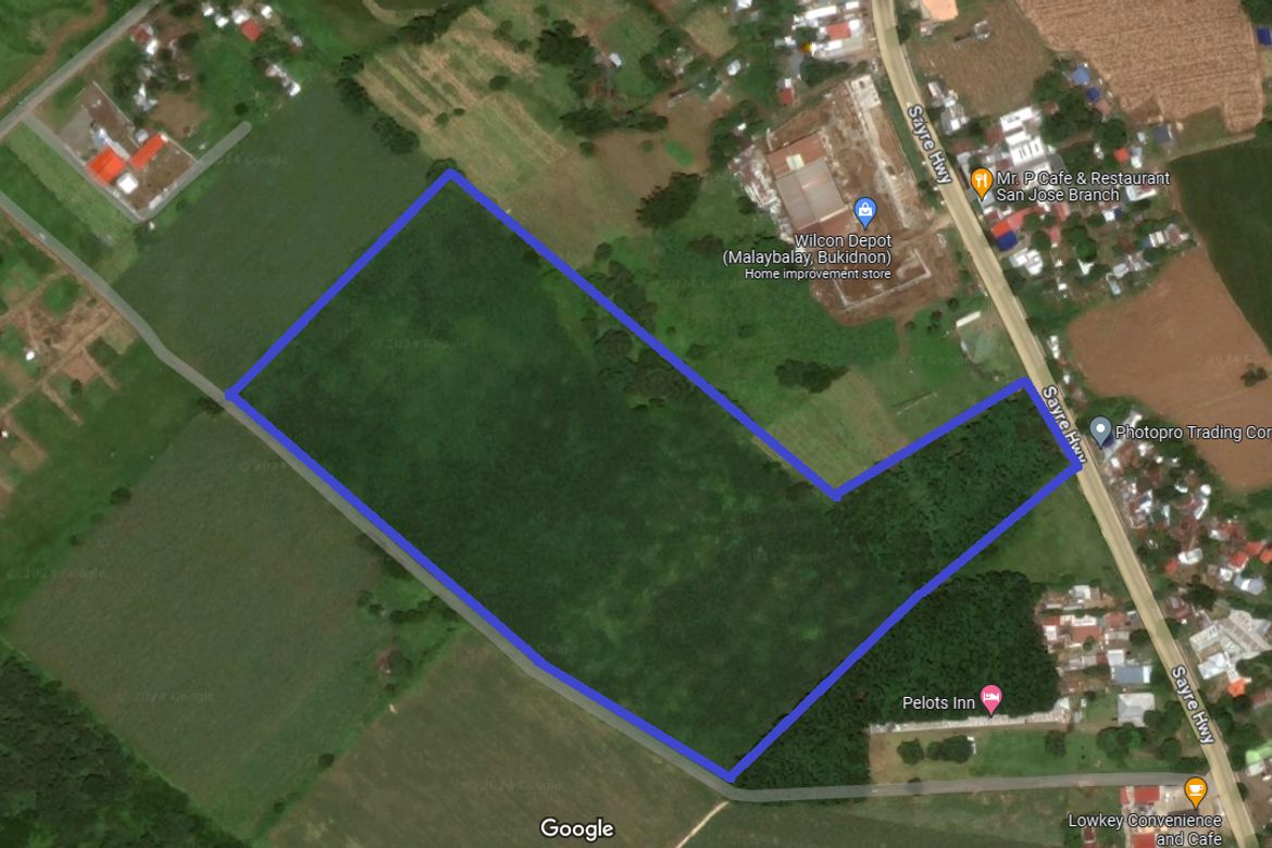 Land for Sale in San Jose, Malaybalay, Bukidnon – photo 3