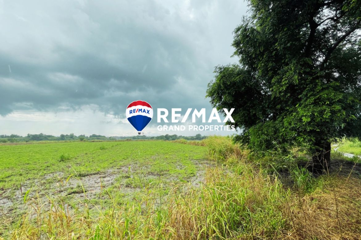 Land for Sale in San Jose Malino, Mexico, Pampanga – photo 3
