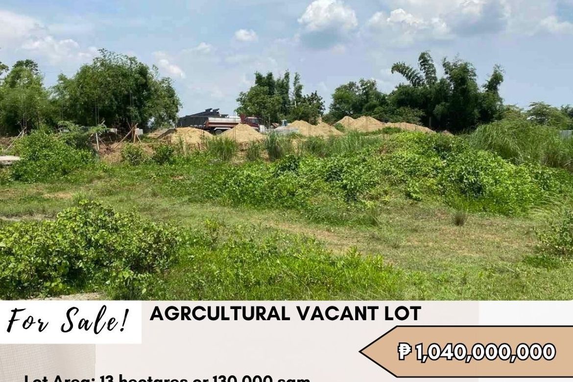Land for Sale in San Jose Patag, Santa Maria, Bulacan