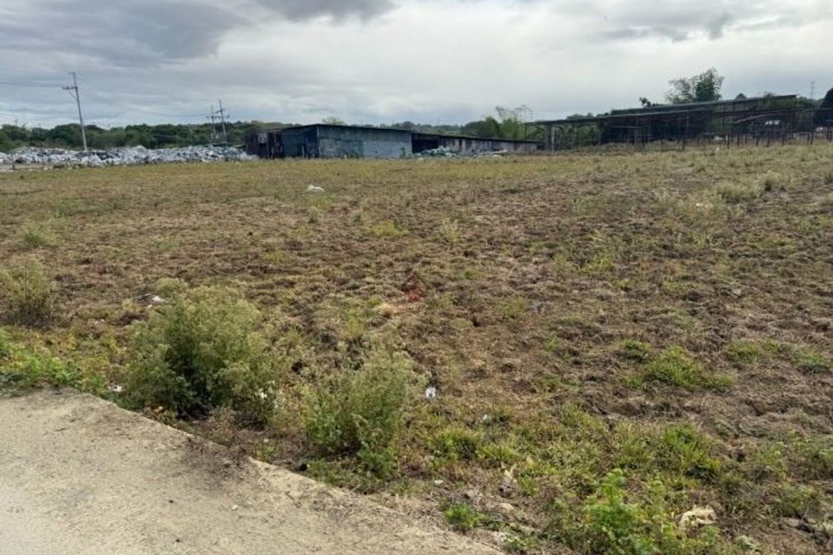 Land for Sale in San Jose Patag, Santa Maria, Bulacan – photo 2