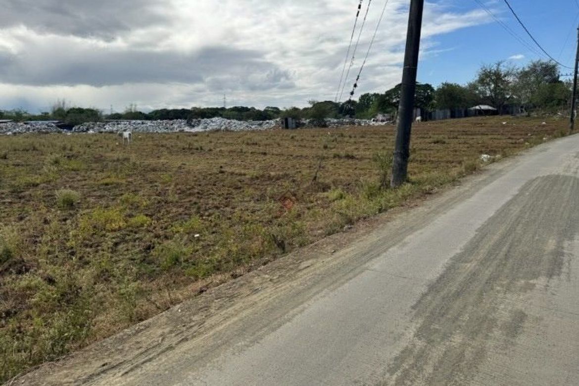 Land for Sale in San Jose Patag, Santa Maria, Bulacan – photo 3