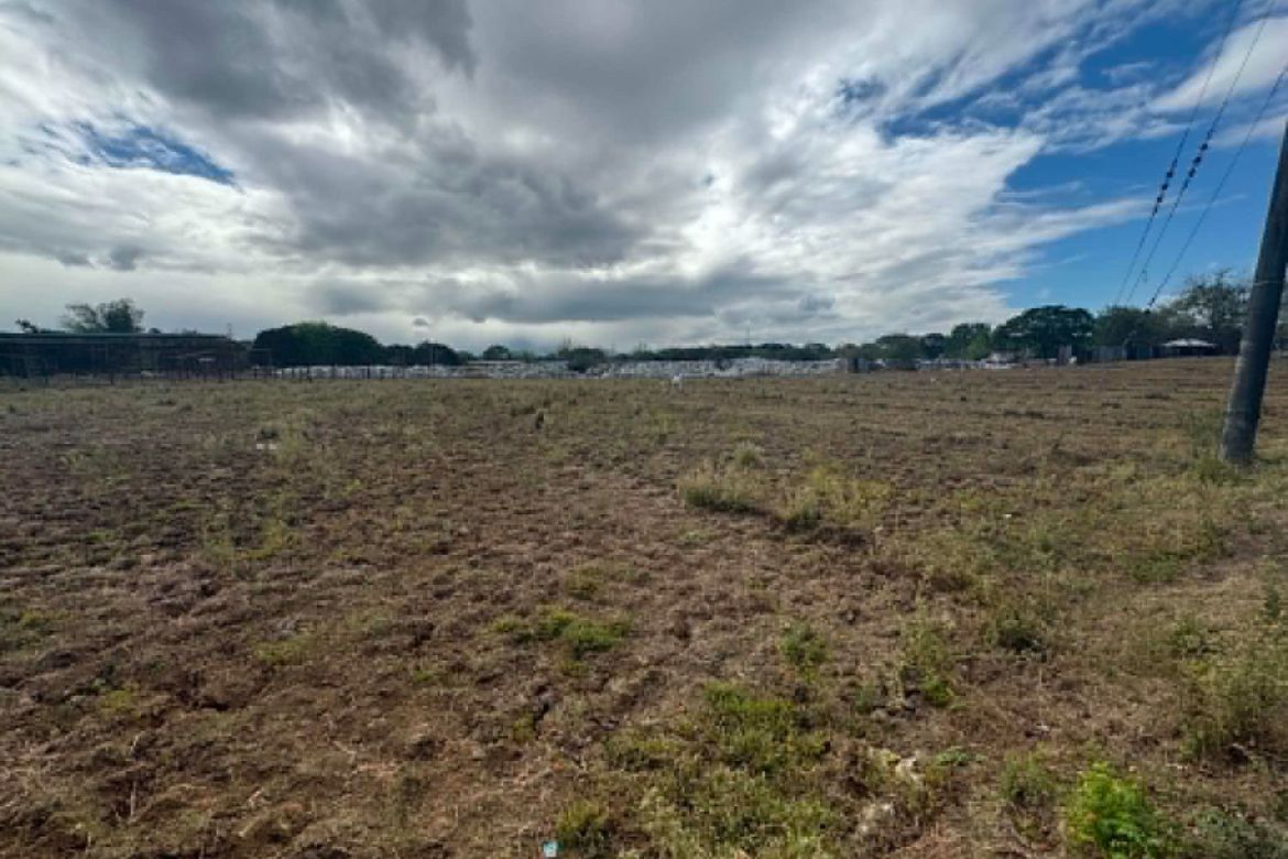 Land for Sale in San Jose Patag, Santa Maria, Bulacan