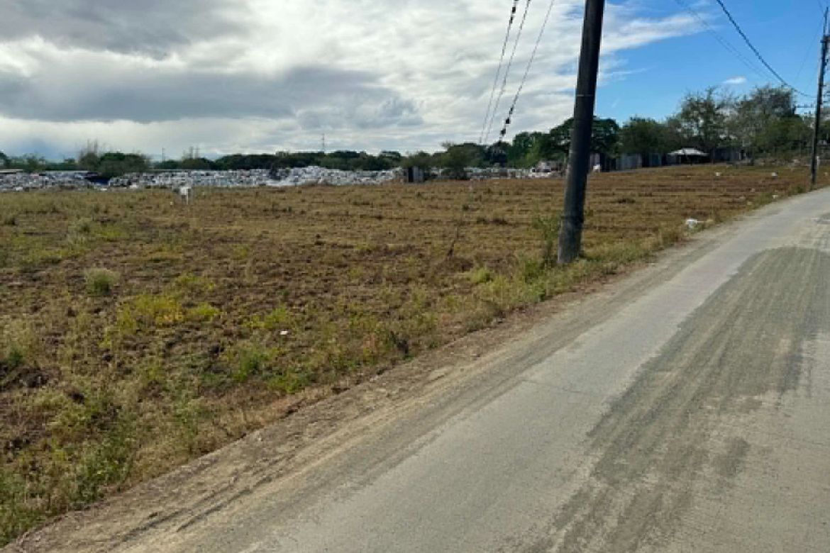 Land for Sale in San Jose Patag, Santa Maria, Bulacan – photo 6
