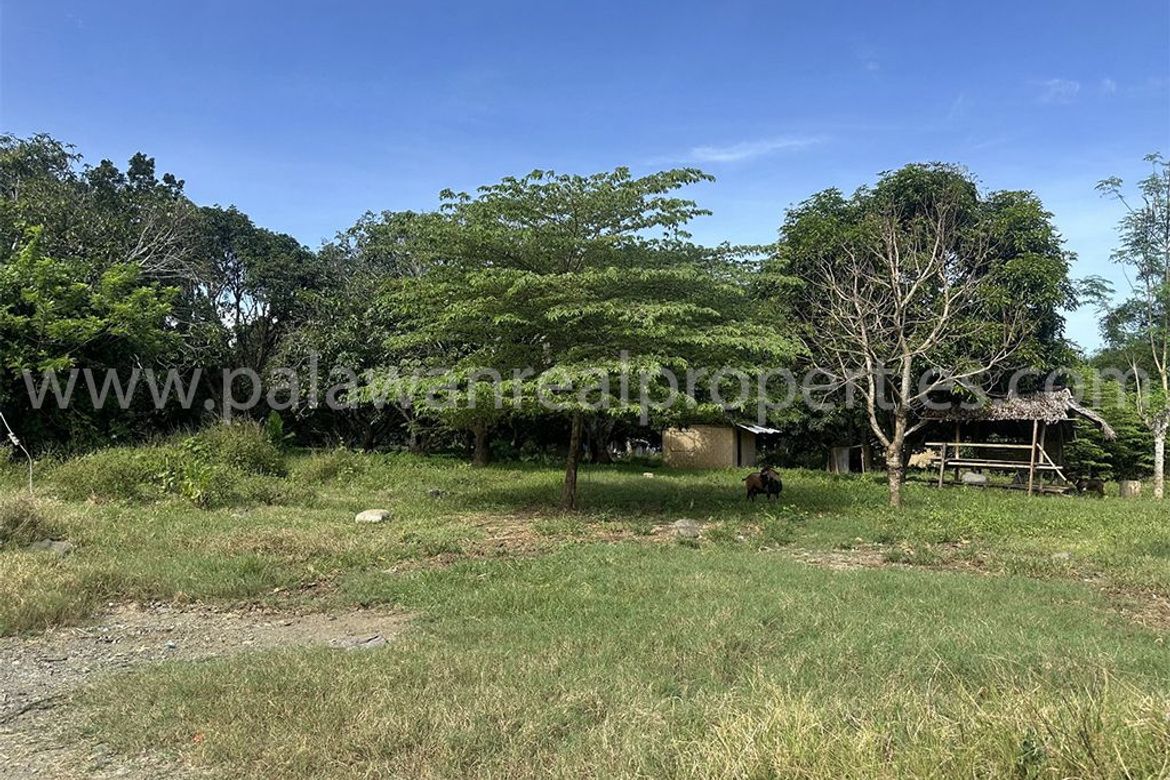Land for Sale in San Jose, Puerto Princesa, Palawan