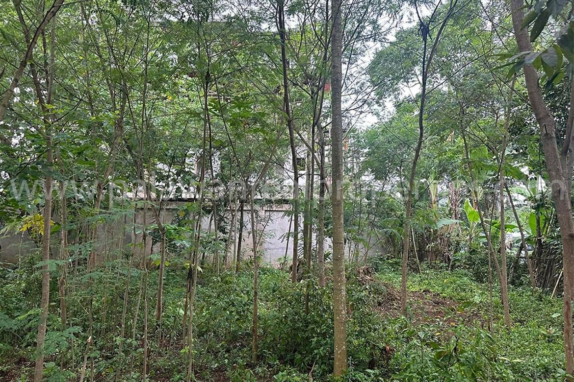 Land for Sale in San Jose, Puerto Princesa, Palawan – photo 3