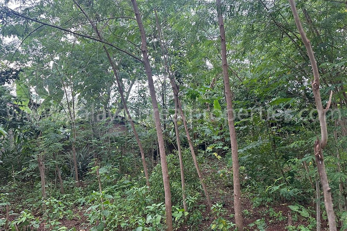 Land for Sale in San Jose, Puerto Princesa, Palawan – photo 6