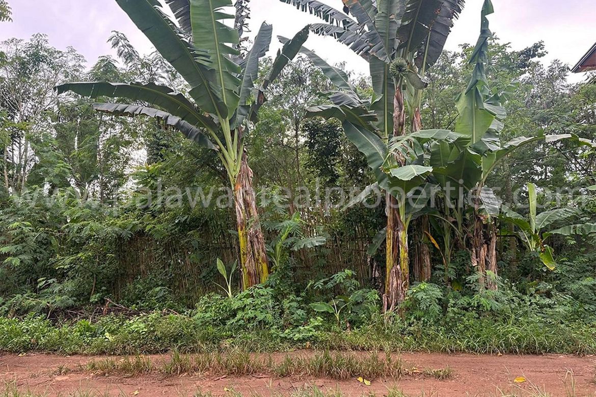 Land for Sale in San Jose, Puerto Princesa, Palawan – photo 7