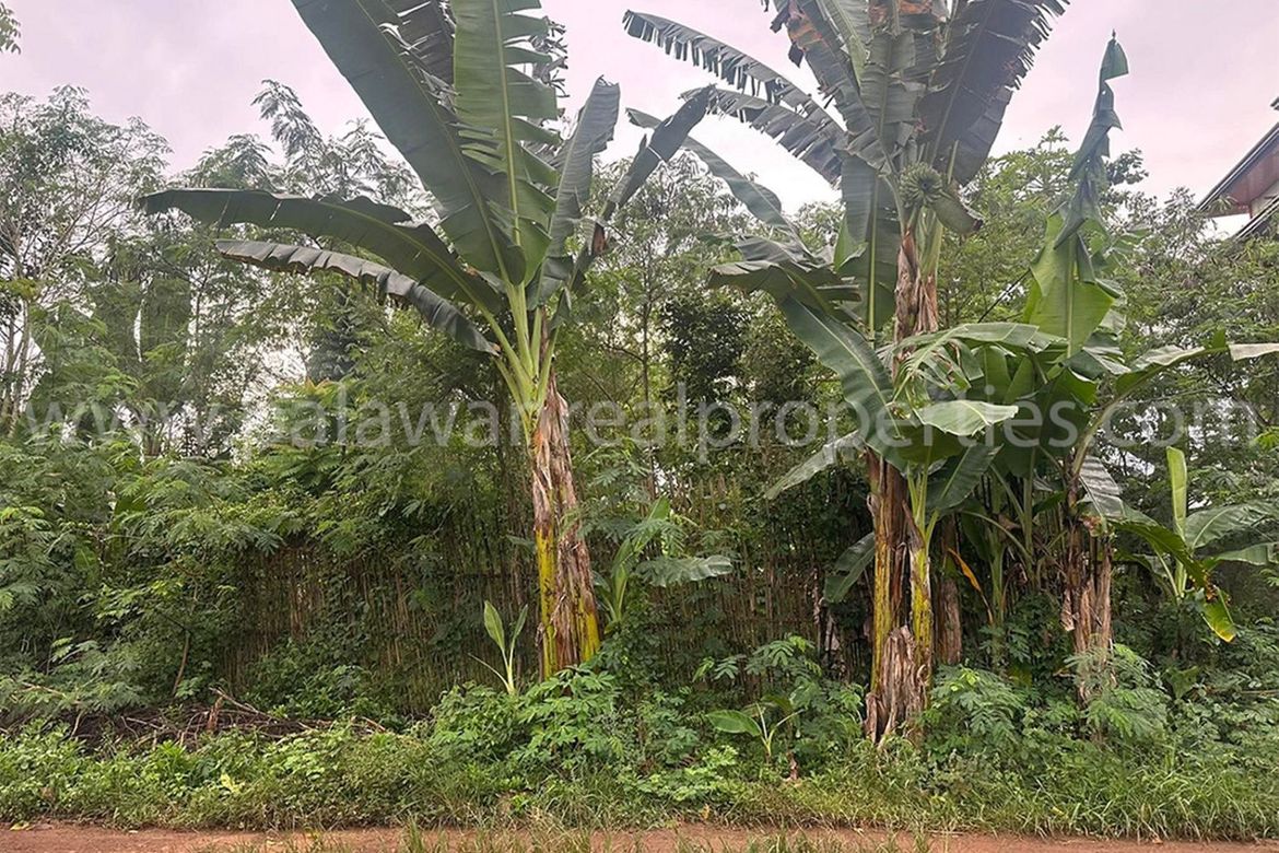 Land for Sale in San Jose, Puerto Princesa, Palawan – photo 8