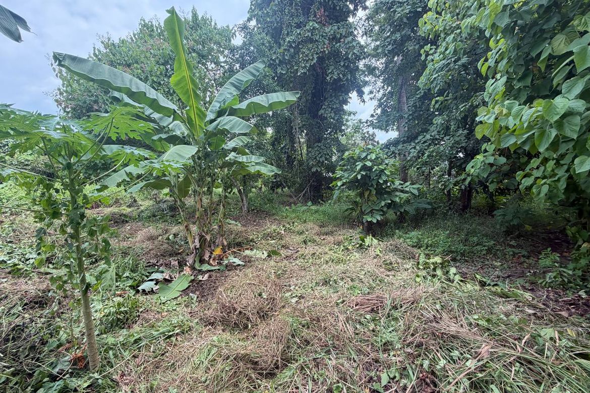 Land for Sale in San Jose, Puerto Princesa, Palawan – photo 2