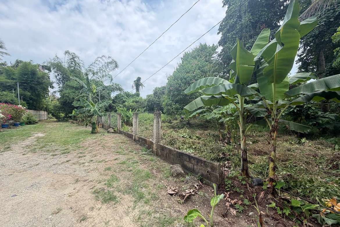 Land for Sale in San Jose, Puerto Princesa, Palawan – photo 3