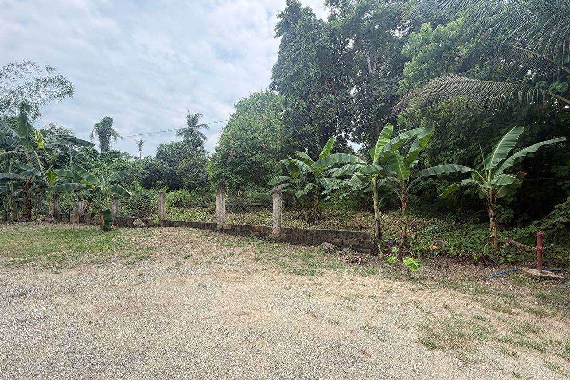 Land for Sale in San Jose, Puerto Princesa, Palawan – photo 4