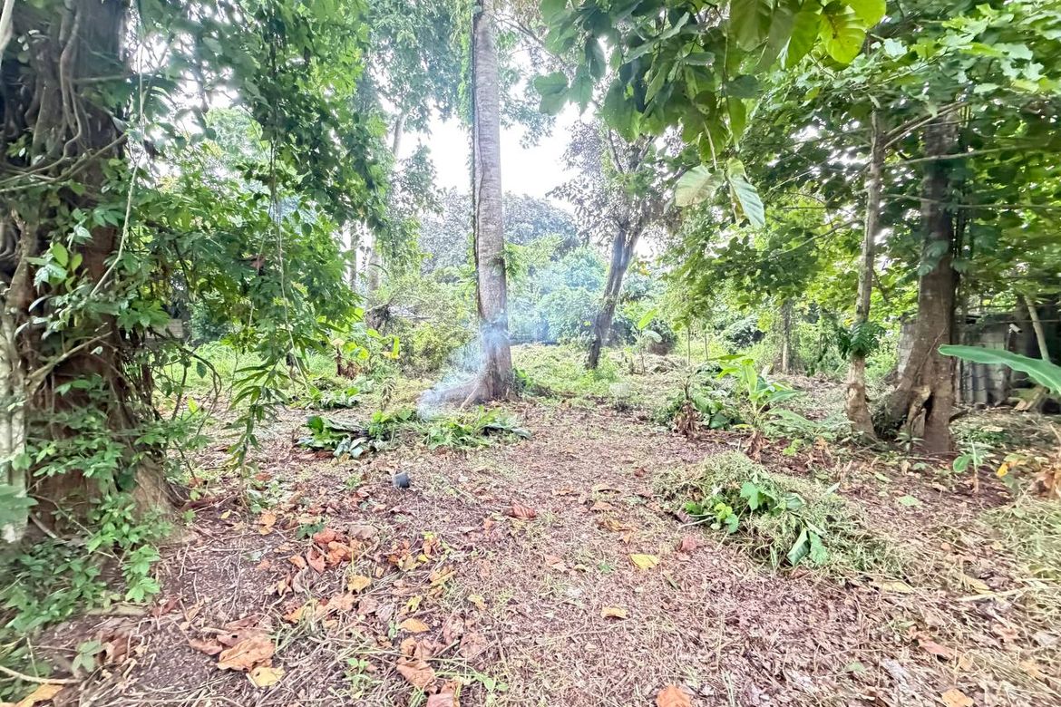 Land for Sale in San Jose, Puerto Princesa, Palawan – photo 6